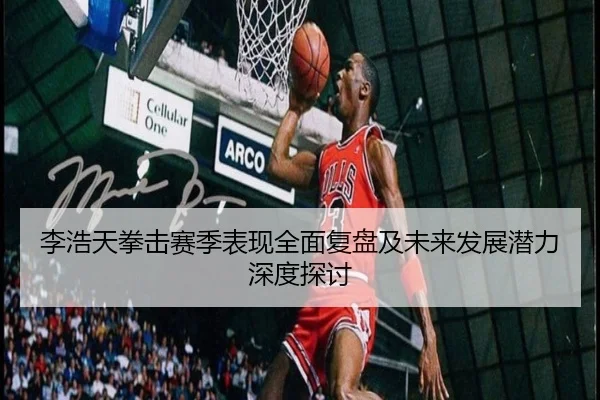 李浩天拳击赛季表现全面复盘及未来发展潜力深度探讨